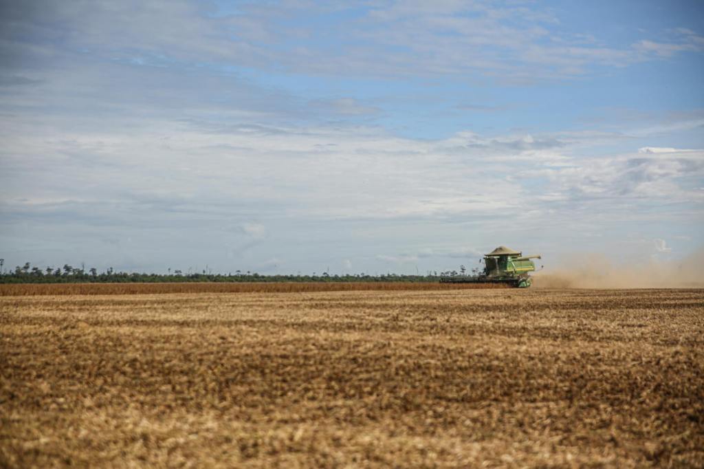 Rosario vuelve a ser el puerto agroexportador numero uno del&nbsp;planeta