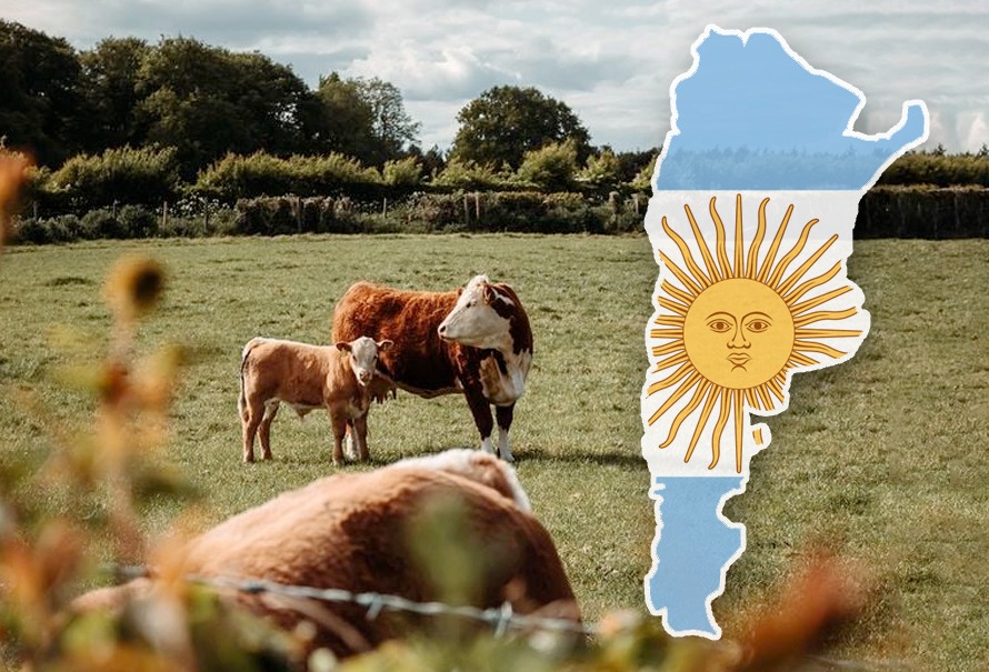 Ganadería: rendimientos al alza a pesar del menor sacrificio de animales