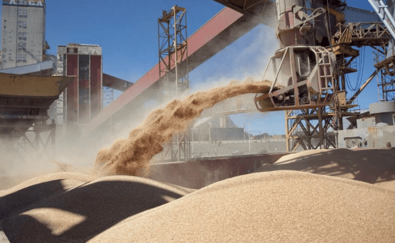 Las exportaciones de La Pampa crecieron 51% desde 2023 y alcanzaron los USD 594 millones en el primer semestre de&nbsp;2026